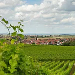 Landgasthof Hotel *