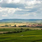 فندق Landgasthof Willanzheim