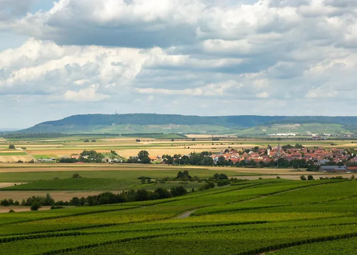 Отель Landgasthof Willanzheim